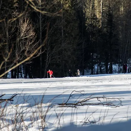 Apartament Halszka 29c Apartament Kościelisko