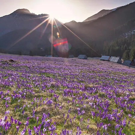 Apartament Halszka 29c Apartament