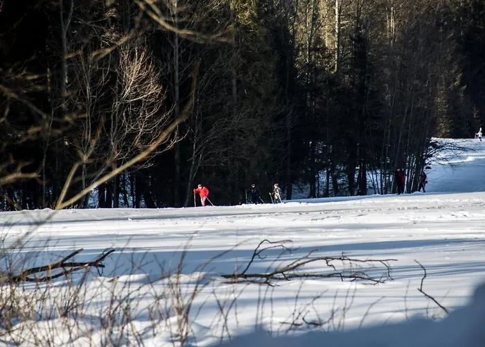 Apartament Halszka 29c Appartement Kościelisko