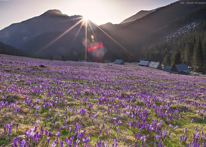 Apartament Halszka 29c Appartement